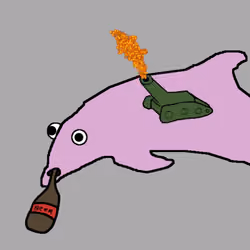 Dolphin #2773
