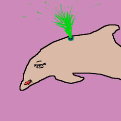 Dolphin #2776