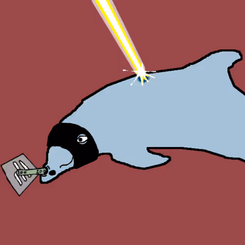 Discombobulated Dolphins