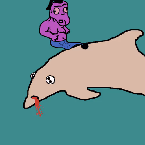 Discombobulated Dolphins