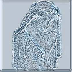 206