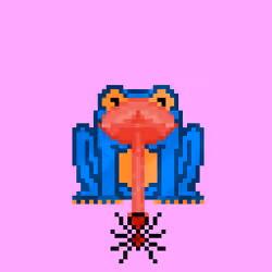 Frog #1904