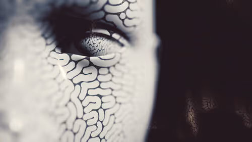 Item #59000050007 Media