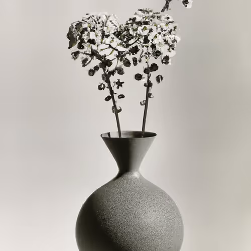A Propos Des Fleurs