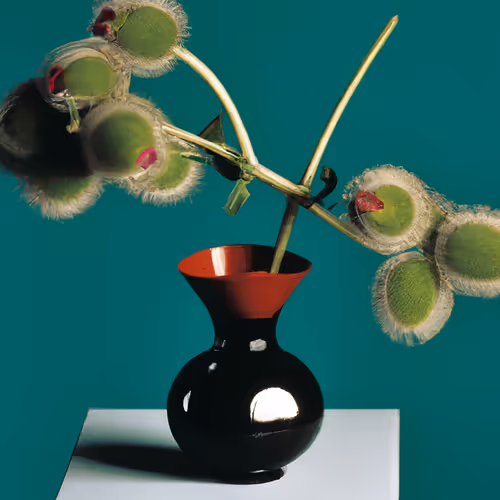 A Propos Des Fleurs
