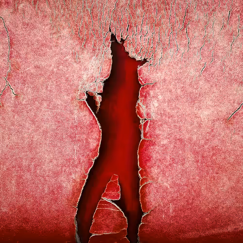 Hnseditions