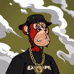 Alpha ExoHape #262