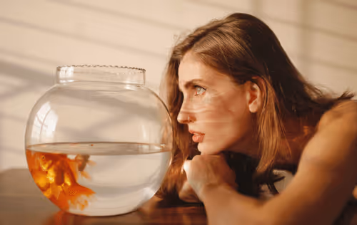 GOLDFISH - TdWPTiVlEF