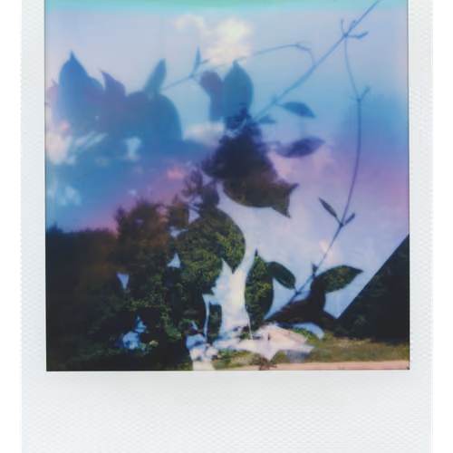 Endless Summer  |  11  | Manifestation