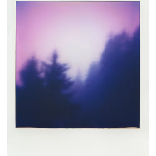 Endless Summer  |  18  | Manifestation