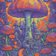 80