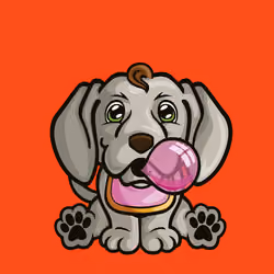 Weimaraner 0721