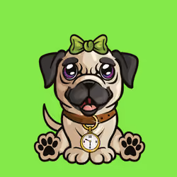 Pug 0165