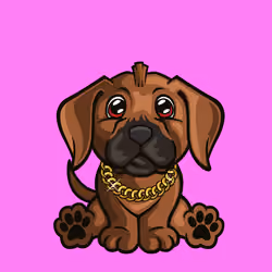 Rhodesian Ridgeback 1023