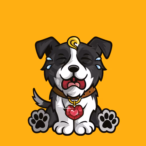 Border Collie 0316