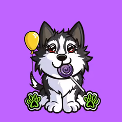 Siberian Husky 0912