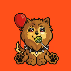 Pomeranian 0035