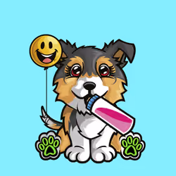Collie 1134