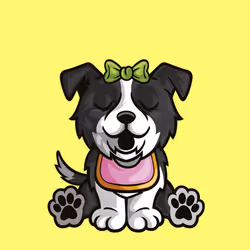 Border Collie 1022