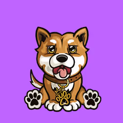 Shiba Inu 1005