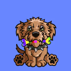 Soft Coated Wheaten Terrier 1006