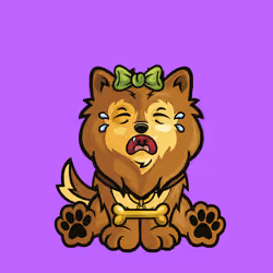 Pomeranian 1042