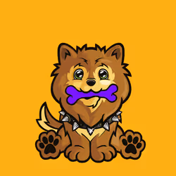 Pomeranian 0199