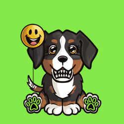 Bernese Mountain Dog 0201