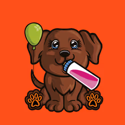 Labrador Chocolate 0913