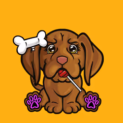 Vizsla 0809