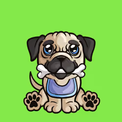 Pug 0929