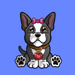 Boston Terrier 1118