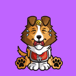 Shetland Sheepdog 0325