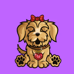 Havanese 0318