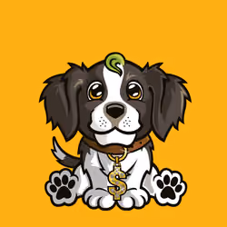 English Springer Spaniel 1041