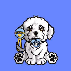 Bichon Frise 1024