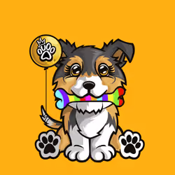 Collie 1076