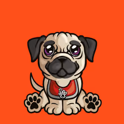 Pug 0090