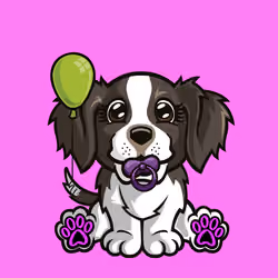 English Springer Spaniel 0073