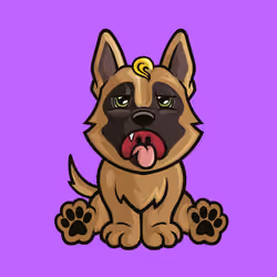 German Shepherd 0864