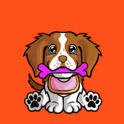 Brittany Spaniel 0477