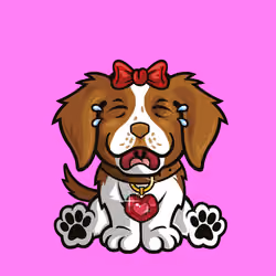 Brittany Spaniel 0814