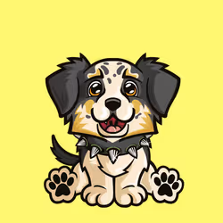 Miniature American Shepherd 0469