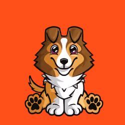 Shetland Sheepdog 1063