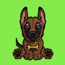 Belgian Malinois 1025