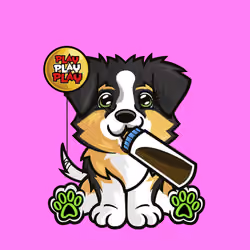 Australian Shepherd 0920