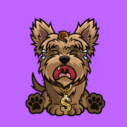 Yorkshire Terrier 0921
