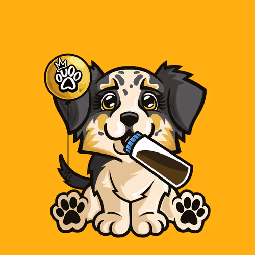 Miniature American Shepherd 1003