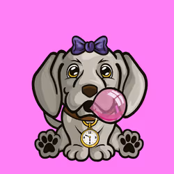 Weimaraner 0843