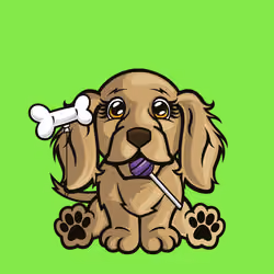Cocker Spaniel 0927